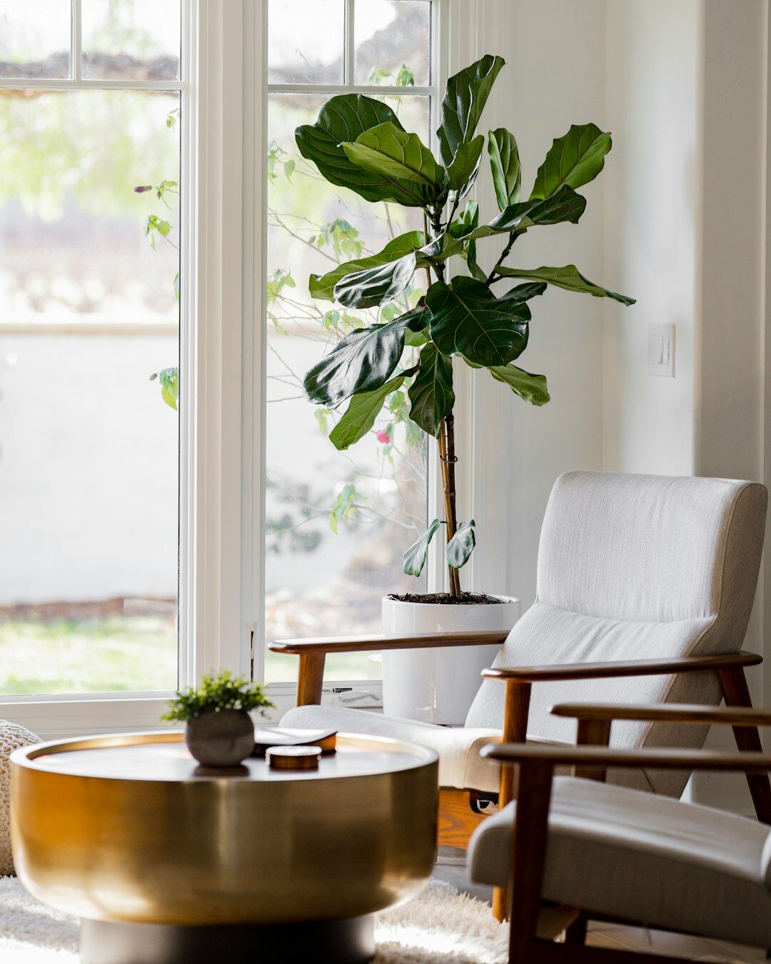 modern living room with plants
