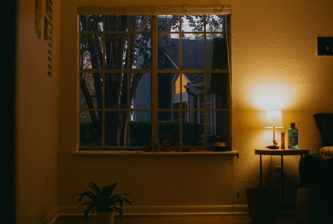 cozy home lighting setup